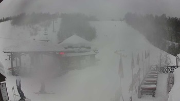 Красія 22 січня 2019 року, 2019-01-22 13:00