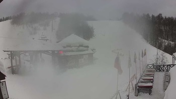 Красія 23 січня 2019 року, 2019-01-23 10:00
