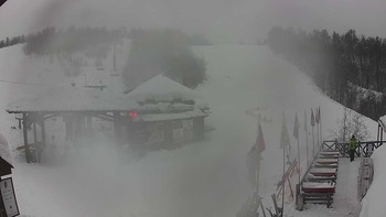 Красія 23 січня 2019 року, 2019-01-23 13:00