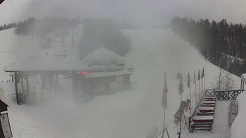 Красія 25 січня 2019 року, 2019-01-25 10:00