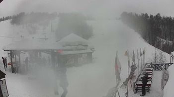 Красія 25 січня 2019 року, 2019-01-25 13:00