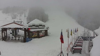Красія 29 січня 2019 року, 2019-01-29 10:00