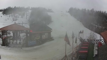 Красія 8 березня 2019 року, 2019-03-08 10:00