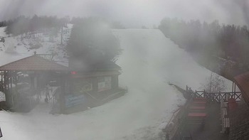 Красія 17 березня 2019 року, 2019-03-17 10:00