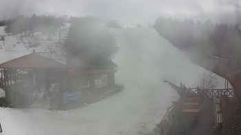 Красія 17 березня 2019 року, 2019-03-17 13:00