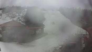 Красія 18 березня 2019 року, 2019-03-18 10:00
