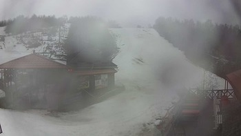 Красія 18 березня 2019 року, 2019-03-18 13:00