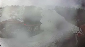 Красія 19 березня 2019 року, 2019-03-19 10:00