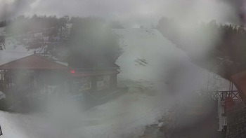 Красія 20 березня 2019 року, 2019-03-20 10:00