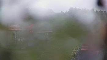 Красія 22 травня 2019 року, 2019-05-22 13:00