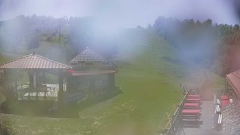 Красія 15 червня 2019 року, 2019-06-15 13:00