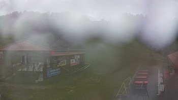 Красія 11 липня 2019 року, 2019-07-11 13:00