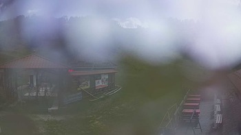 Красія 12 липня 2019 року, 2019-07-12 16:00