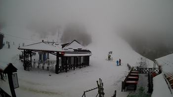 Красія 11 січня 2020 року, 2020-01-11 13:00