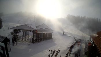 Красія 19 січня 2020 року, 2020-01-19 13:00