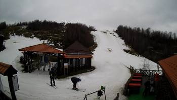 Красія 8 березня 2020 року, 2020-03-08 10:00