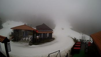 Красія 11 березня 2020 року, 2020-03-11 13:00