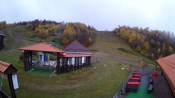 Красія 13 листопада 2020 року, 2020-11-13 16:00