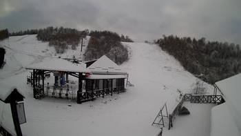 Красія 1 грудня 2020 року, 2020-12-01 10:00