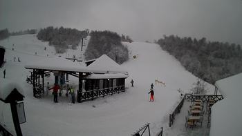 Красія 20 січня 2021 року, 2021-01-20 10:00