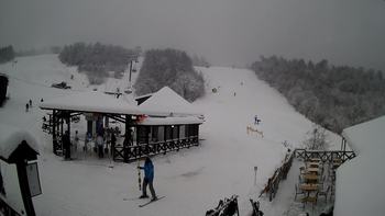 Красія 20 січня 2021 року, 2021-01-20 13:00