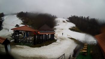 Красія 24 січня 2021 року, 2021-01-24 16:00