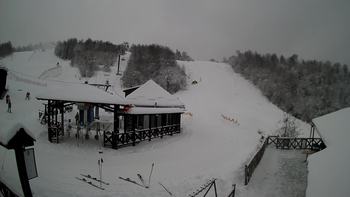 Красія 29 січня 2021 року, 2021-01-29 10:00