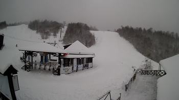 Красія 12 березня 2021 року, 2021-03-12 13:00