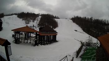 Красія 17 березня 2021 року, 2021-03-17 10:00