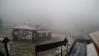 Красія 19 листопада 2021 року, 2021-11-19 10:00