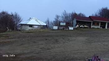 Пилипець 11 листопада 2025 року, 2025-11-11 16:00