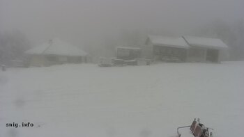 Пилипець 24 листопада 2025 року, 2025-11-24 10:00