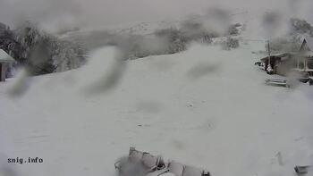 Пилипець 25 листопада 2025 року, 2025-11-25 10:00