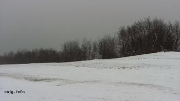 Pylypets 6 january 2026 year, 2026-01-06 13:00