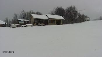 Пилипець 11 січня 2026 року, 2026-01-11 16:00