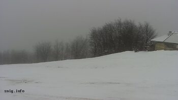 Пилипець 4 лютого 2026 року 13:00