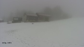 Пилипець 12 лютого 2026 року, 2026-02-12 16:00