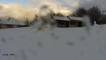 Pylypets 24 february 2026 year, 2026-02-24 16:00