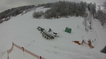 Красія 22 лютого 2018 року, 2018-02-22 10:00