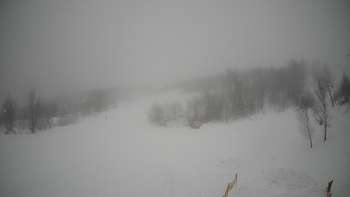 Красія 31 січня 2019 року, 2019-01-31 13:00