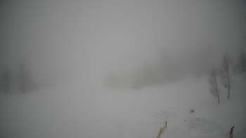 Красія 31 січня 2019 року, 2019-01-31 16:00