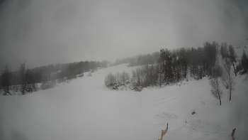 Красія 1 лютого 2019 року, 2019-02-01 10:00