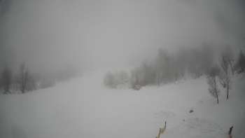 Красія 1 лютого 2019 року, 2019-02-01 13:00