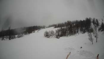 Красія 1 лютого 2019 року, 2019-02-01 16:00