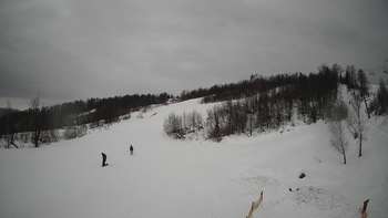 Красія 2 лютого 2019 року, 2019-02-02 13:00