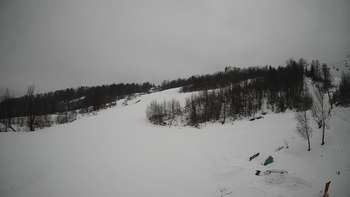 Красія 9 лютого 2019 року, 2019-02-09 16:00