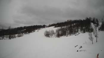Красія 13 лютого 2019 року, 2019-02-13 13:00