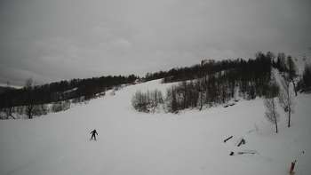 Красія 13 лютого 2019 року, 2019-02-13 16:00