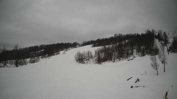 Красія 14 лютого 2019 року, 2019-02-14 10:00