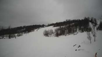 Красія 14 лютого 2019 року, 2019-02-14 13:00